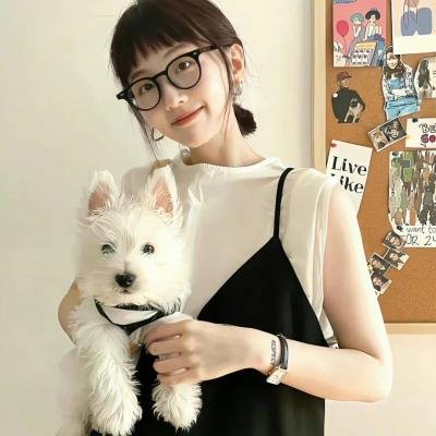 雌雄双谍